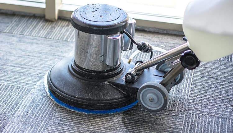 Teppichreinigung Hamburg